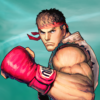 [Code] Street Fighter IV Champion Edition latest code 10/2022