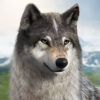 [Code] Wolf Game: The Wild Kingdom latest code 01/2023