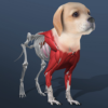 [Code] Idle Pet – Create cell by cell latest code 03/2023