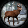 [Code] Jungle Deer Hunting Simulator latest code 06/2023