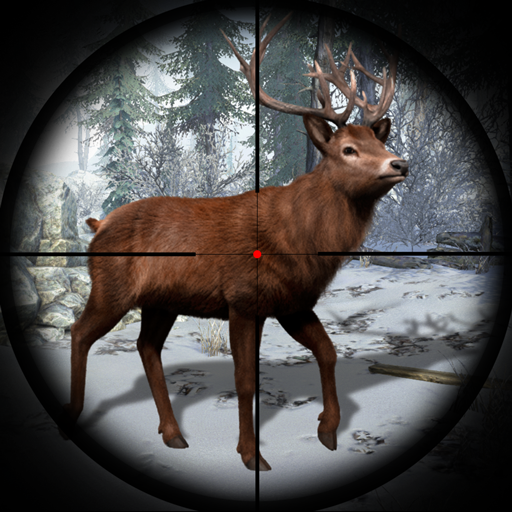 [Code] Jungle Deer Hunting Simulator latest code 09/2025