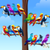 [Code] Bird Sort – Color Puzzle latest code 03/2023
