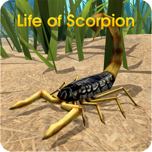 [Code] Life of Scorpion latest code 11/2024