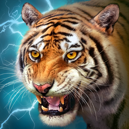 [Code] The Tiger latest code 11/2024